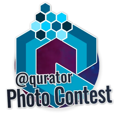 Qurator's Photo Quest | Onions