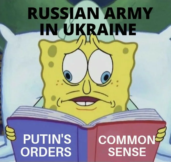 ukraine_support_memes_621e019348ff5_700.jpg