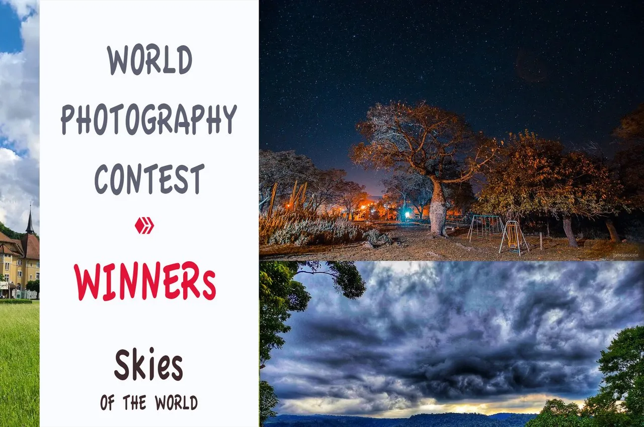 world_photography_contest_taxis_winners