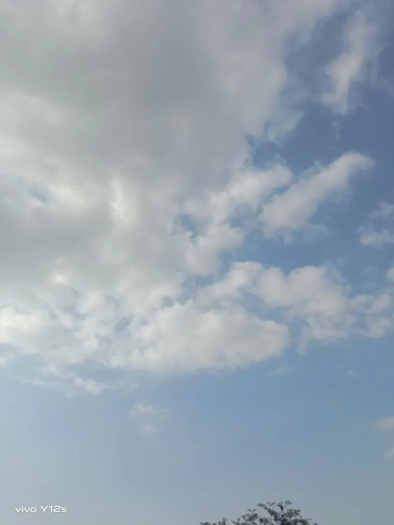 4b8d11cf5b1382e2ff9f86860ccc6f27cc354cd8.jpg