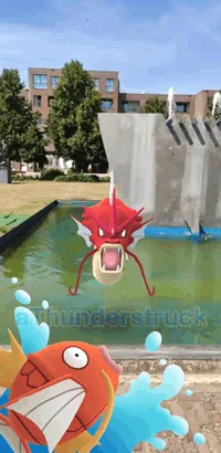 Magikarp Photobomb during snapshot.png