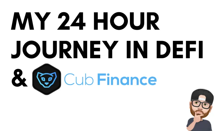 My 24 Hour Journey In DeFi .png
