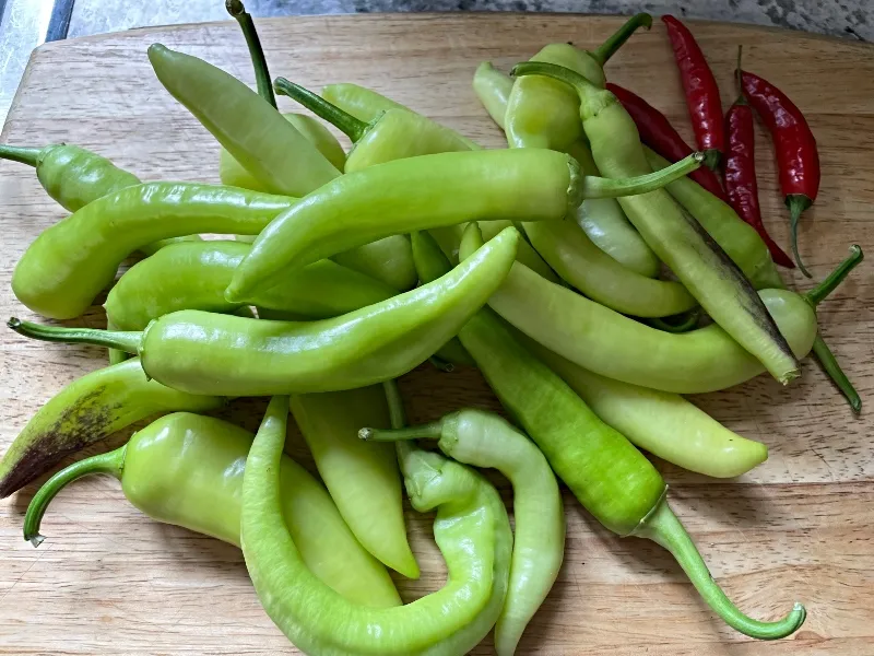 hivegarden-foodiesbeehive-banana-peppers.jpg