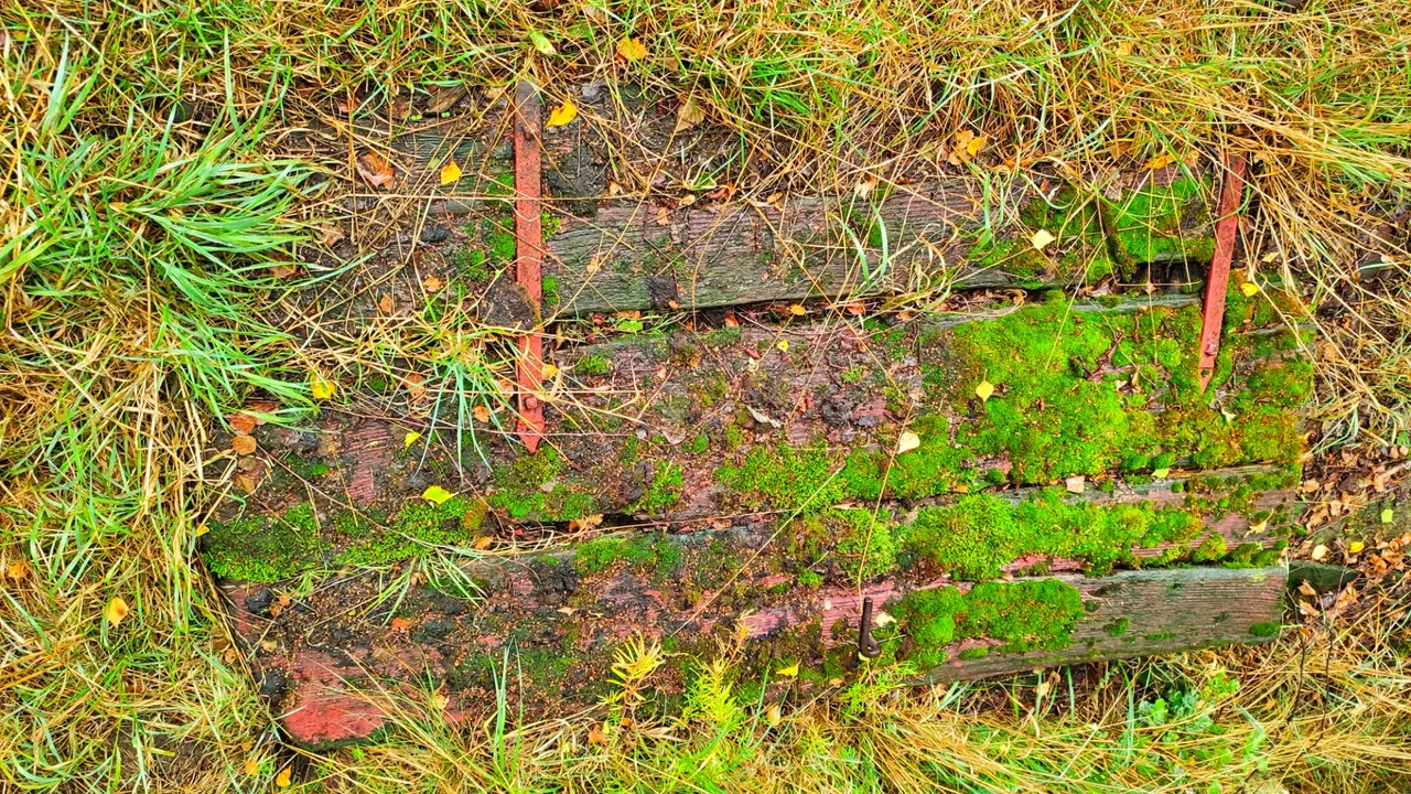 A door, layed down to the earth since years - originally part of the fence.