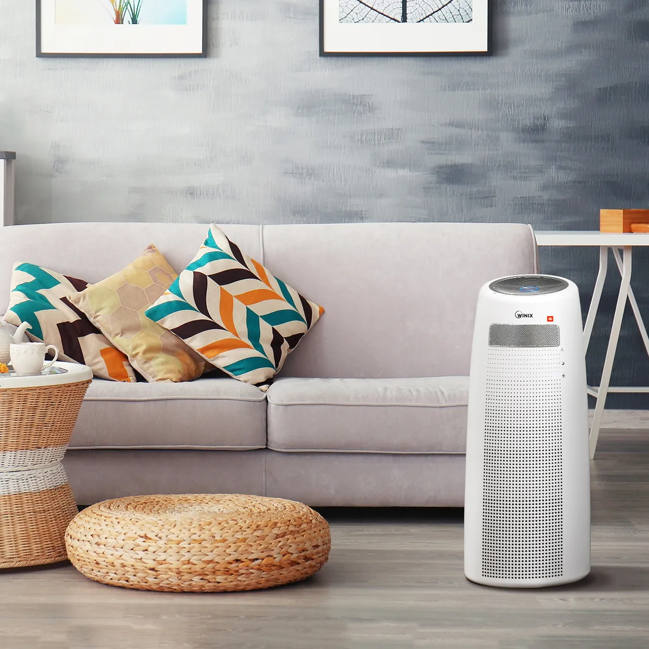 main-qs-airpurifier_galimg.jpg