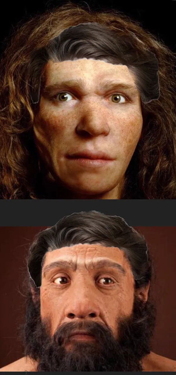 https://s3.us-east-2.amazonaws.com/partiko.io/img/stellabelle-neds-hair-neanderthal-beauty-4mbuxrlz-1536982926486.png