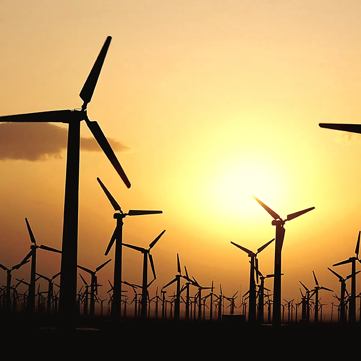 WindTurbine_Farm--photograph_1200w1200h.jpg