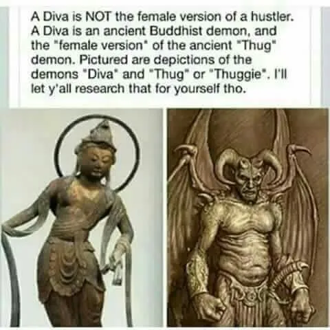 REAL MEANING OF DIVA AND THUG.jpg