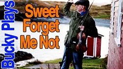 sweet forget me not nov small.jpg