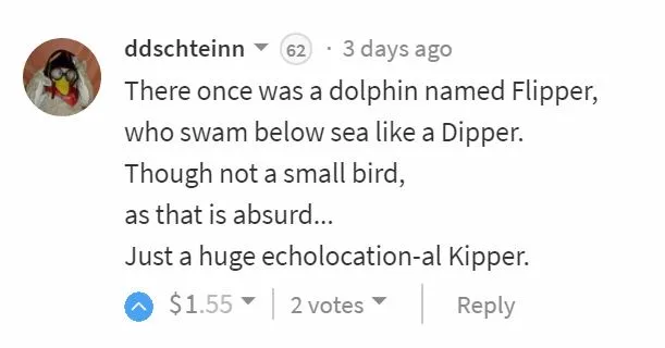 x dolphin party poem ddschteinn.JPG