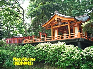 根津神社320.jpg