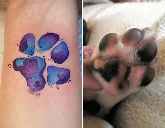 pet-paws-tattoos-300-59b8dd94dc84e__700.jpg