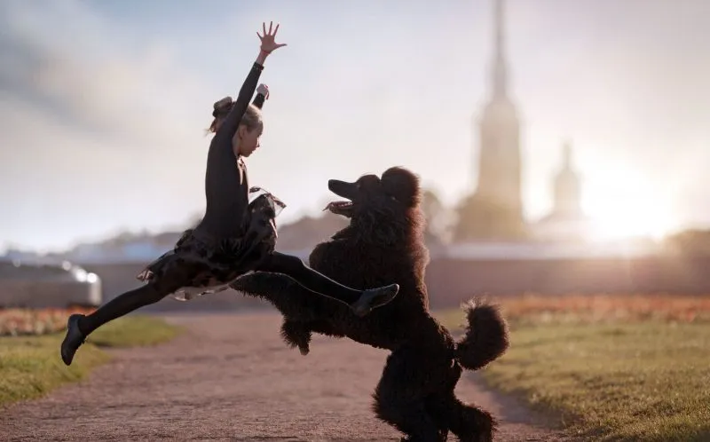 1_CATERS_BLACK_POODLE_BALLET_02-800x498.jpg