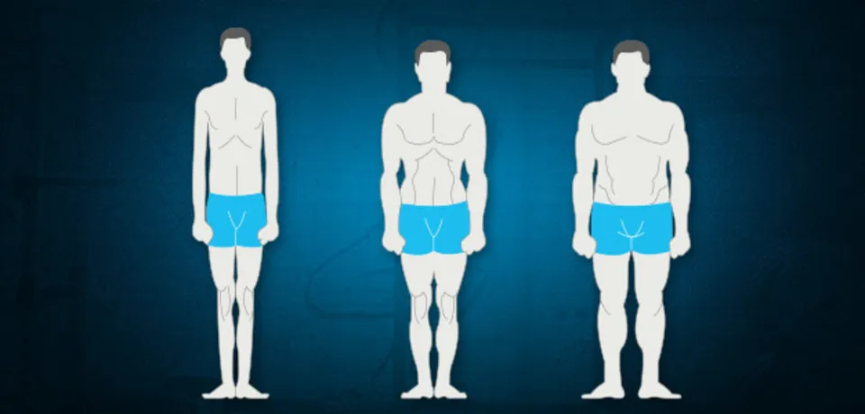 what-is-your-body-type-facebook-960x540.jpg