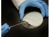 Microbial and Bacterial Cellulose.jpg