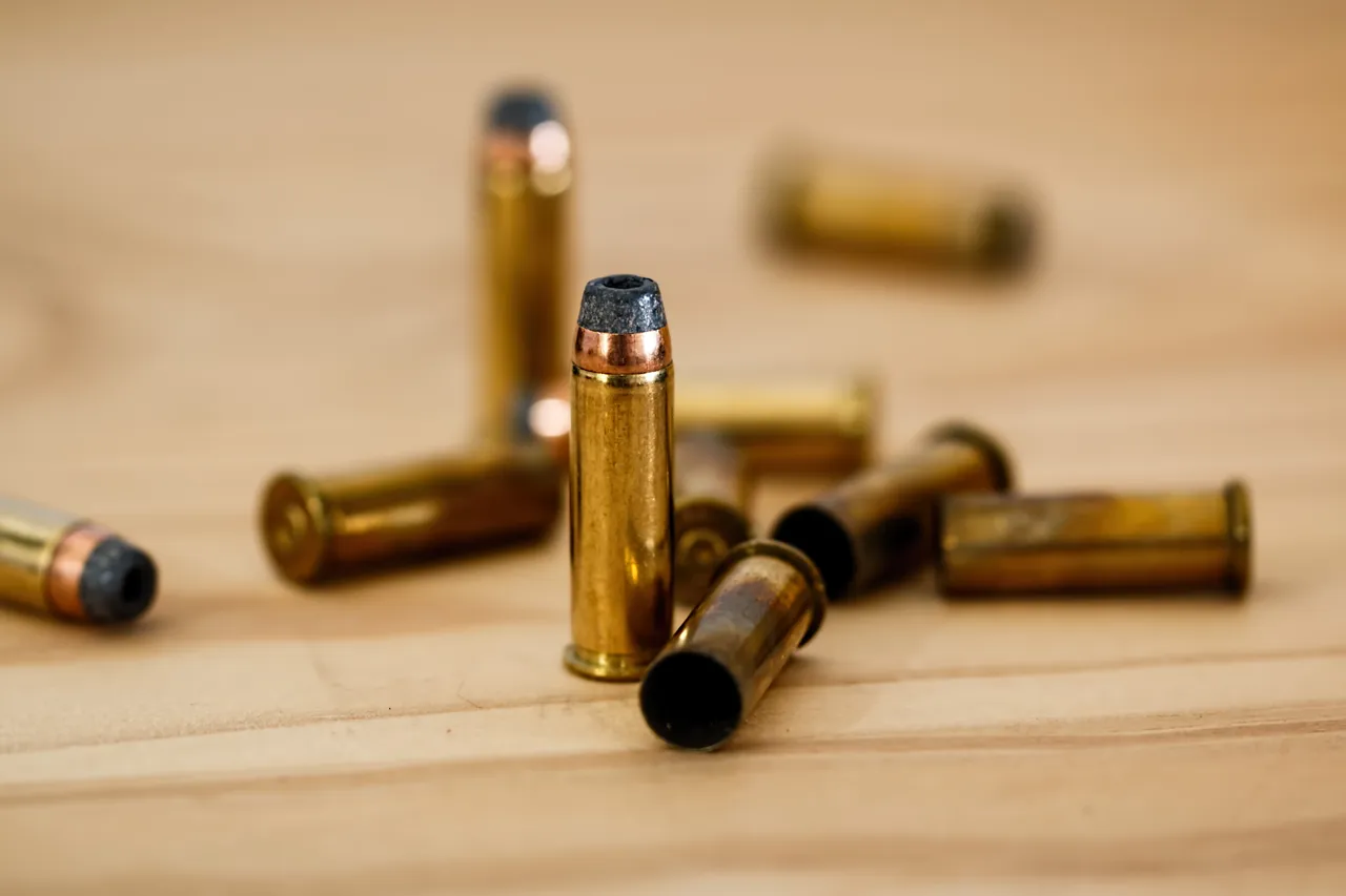 bullet-cartridge-ammunition-crime-53224.jpg