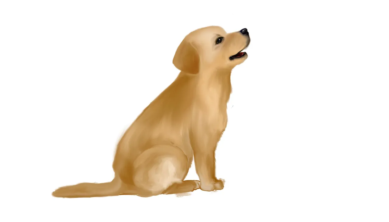 28000002_10208562799505883_1895701938_o.jpg