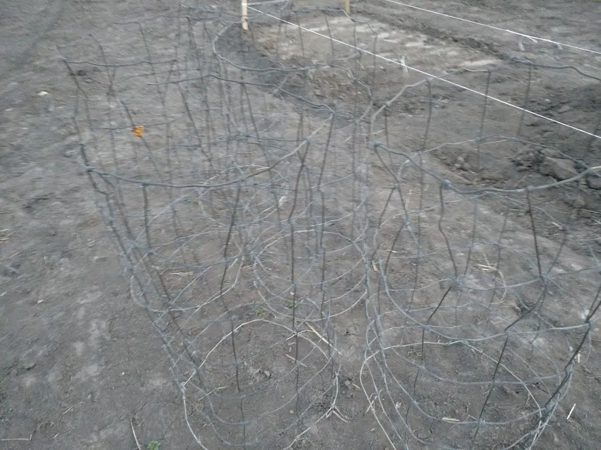 Tomato Cages IMG_20180430_201854304.jpg