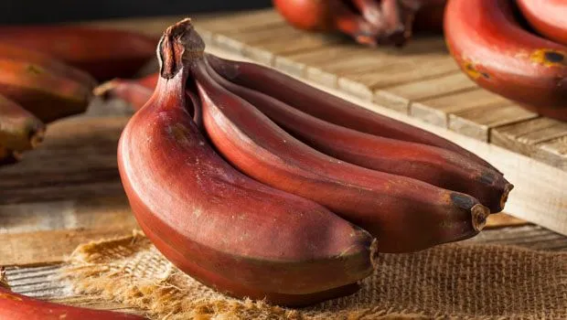 red-banana-benefits_620x350_41498045864.jpg