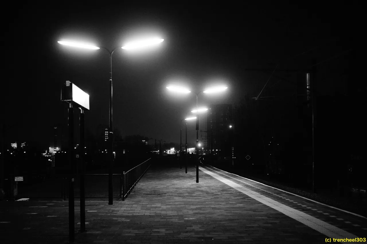 Fluorescents at Amstelstation (1).JPG