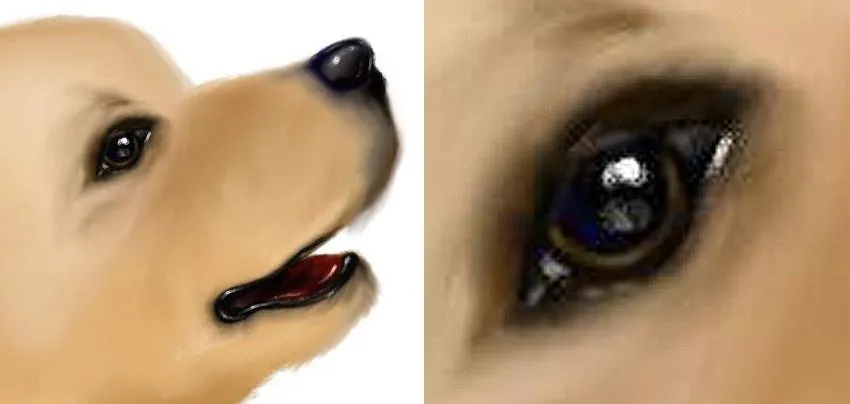 28000002_10208562799505883_1895701938_o.jpg
