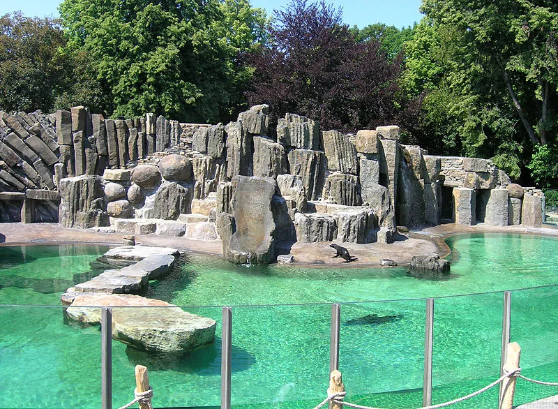 800px-Seal's_exposition_2,_Prague_zoo.jpg