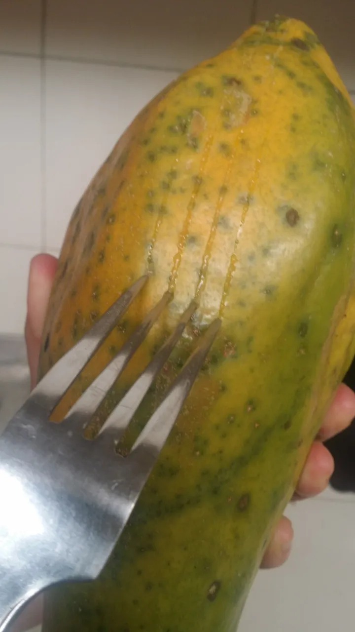 close up papaya mancha let it.jpg