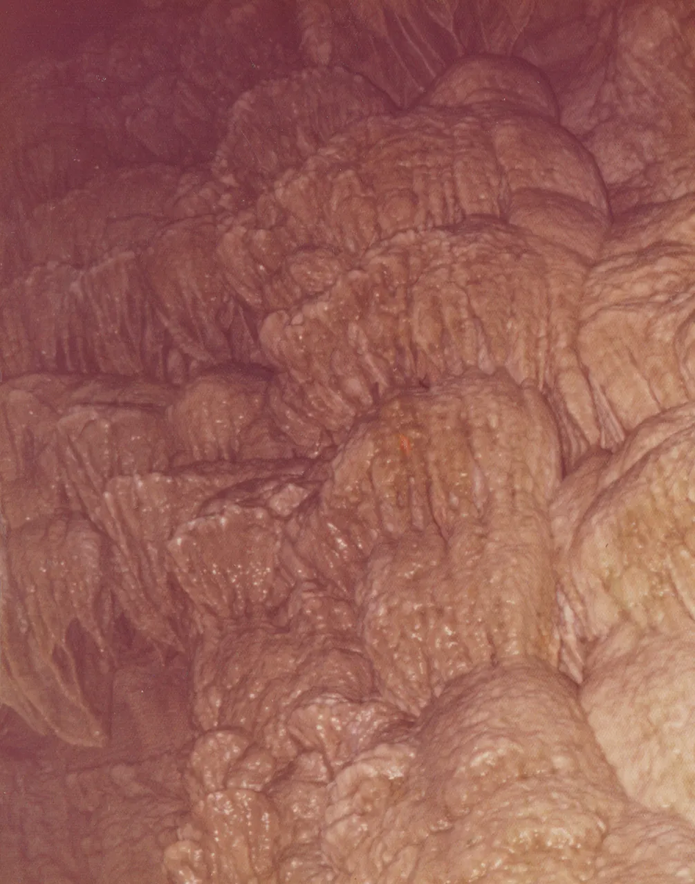 1974-01 - Caves, these 6pics aren't dated, but might be Jan 74, Richard Morehead Family Trip, 6pics-1.png
