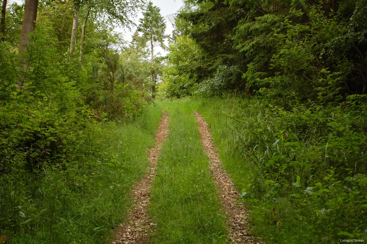 Sheepleas, UK