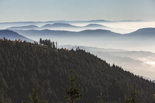 black-forest-1335434__34066818.jpg