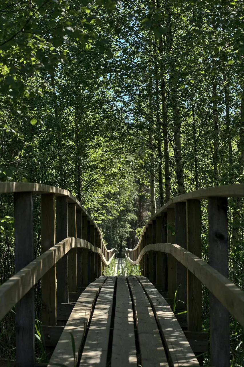 Approaching the bird viewing tower.