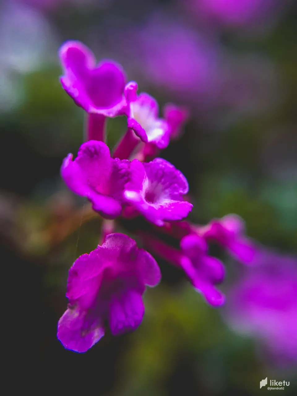 405opj2bl05optgg_20220224_070740.jpg