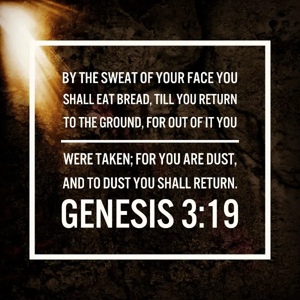 genesis319