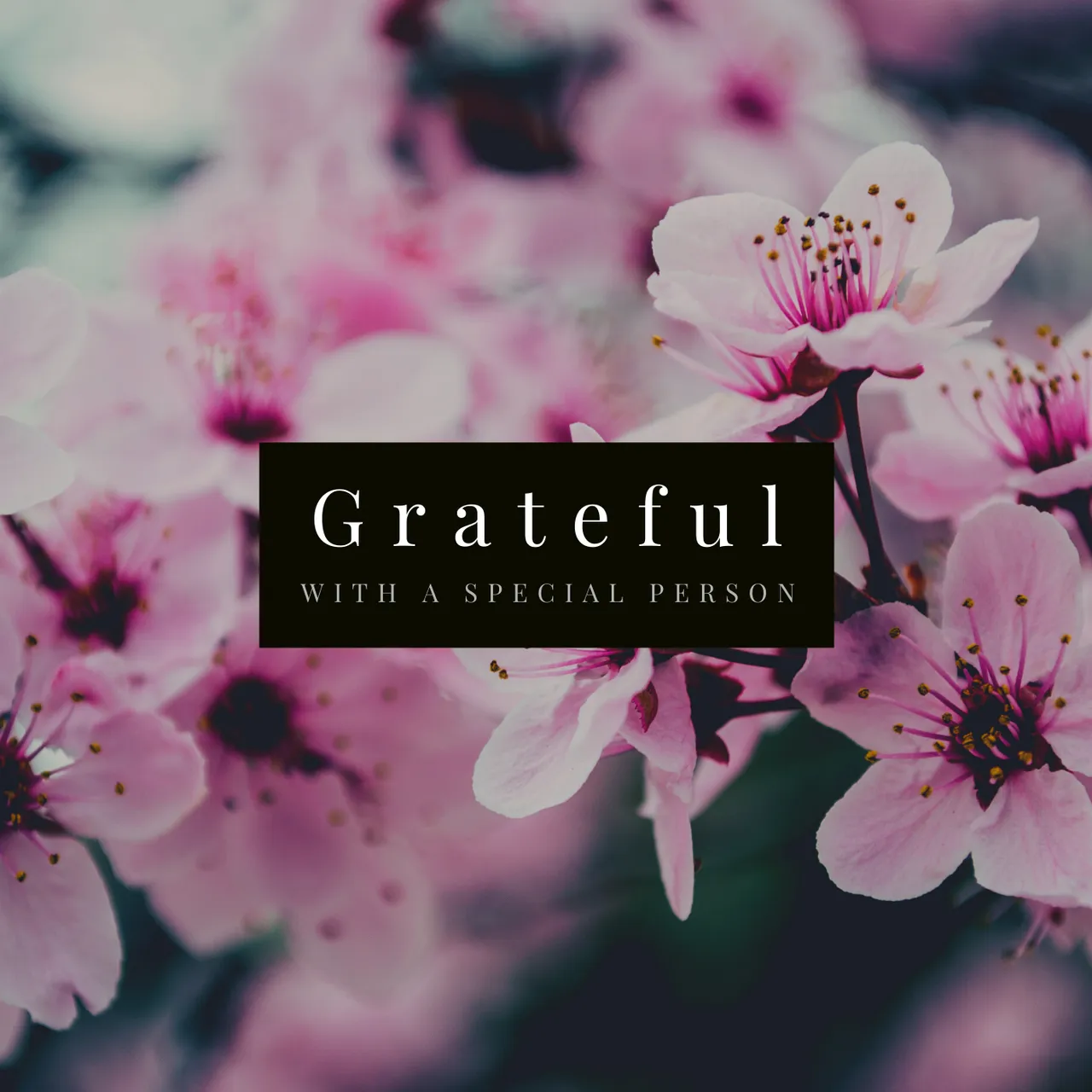 Grateful.png