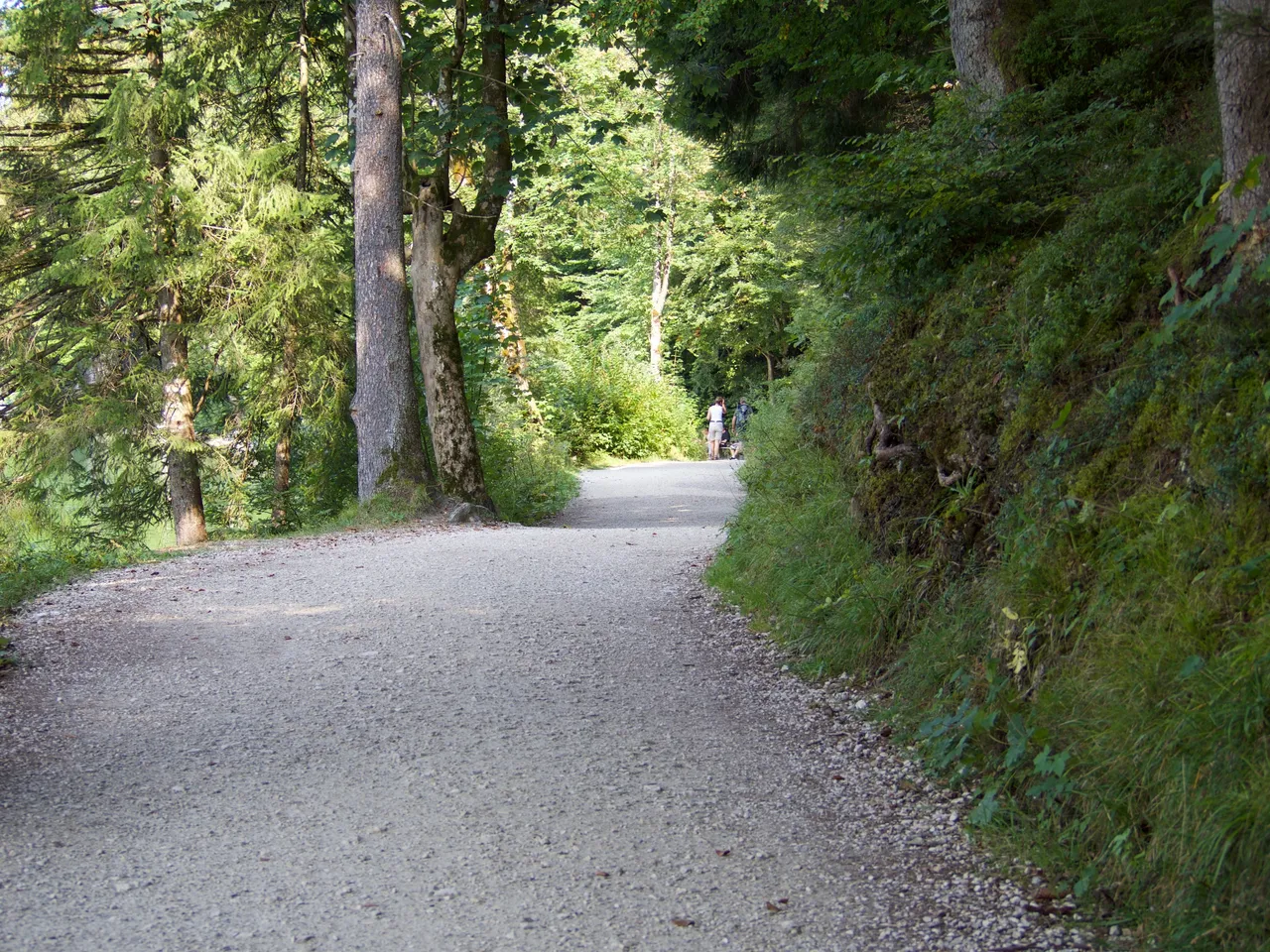 P9131611.jpg