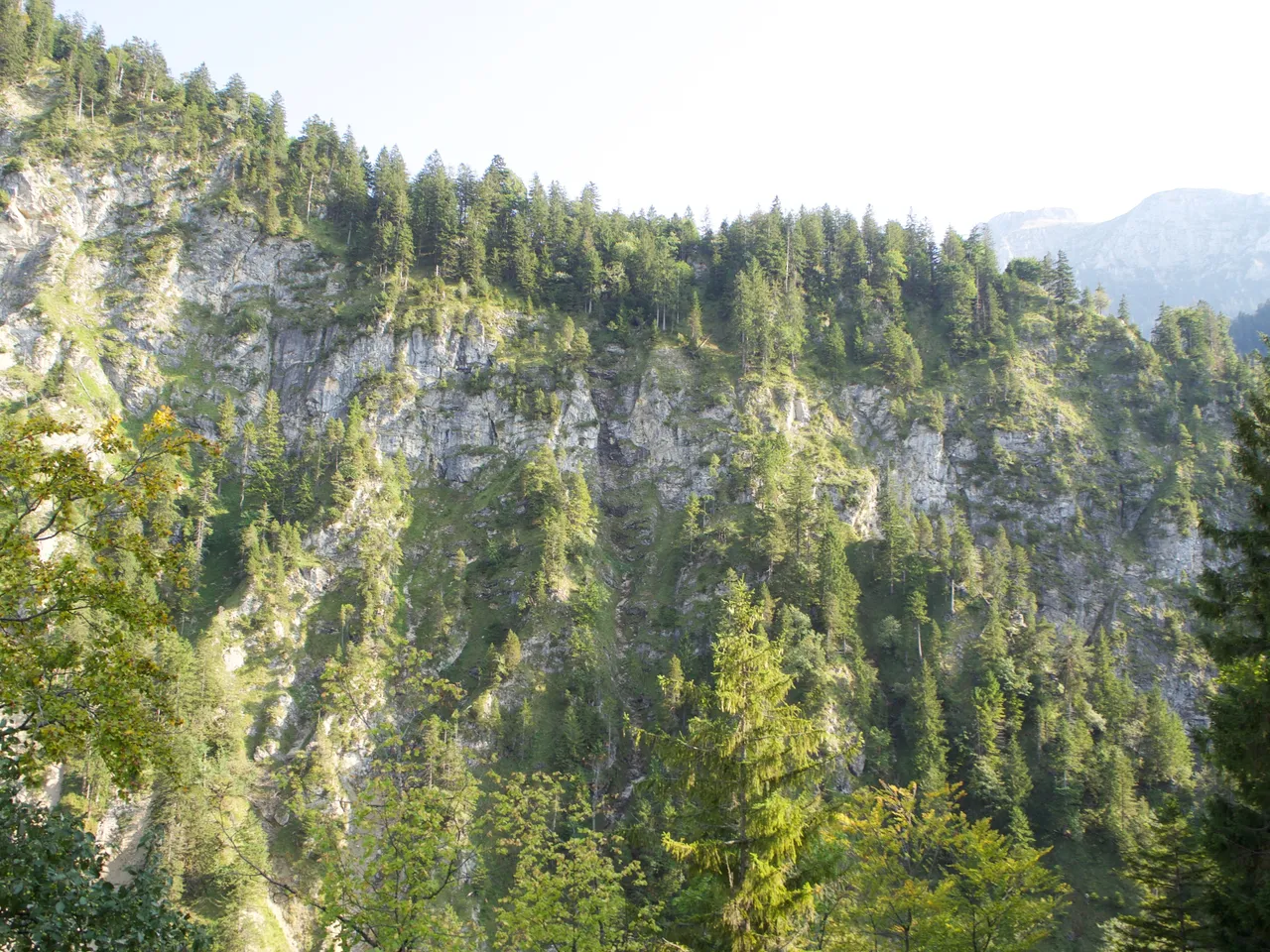 P9141646.jpg