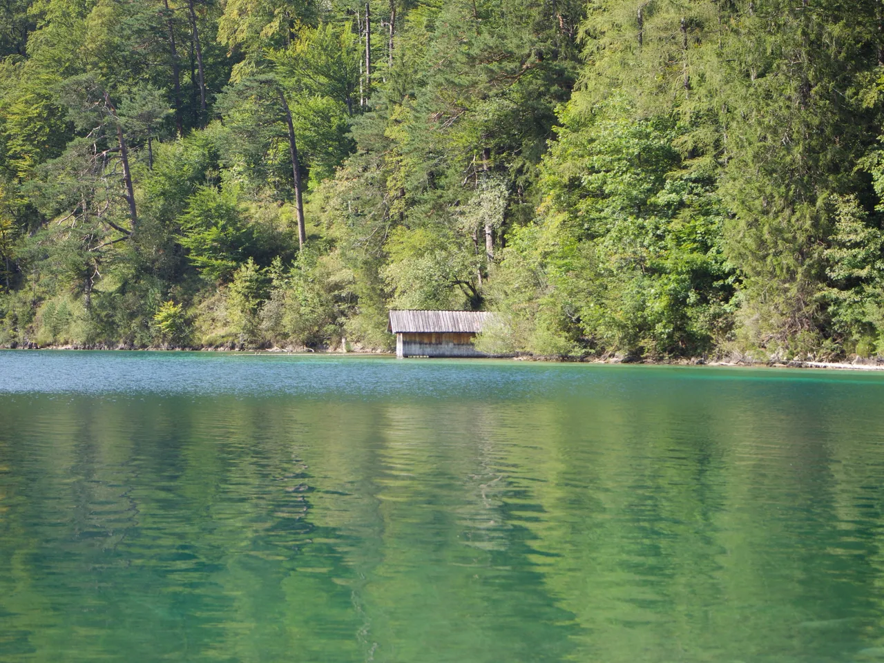 P9131577.jpg