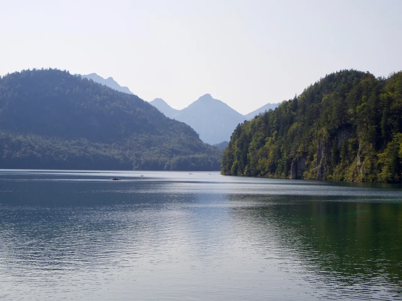 P9131572.jpg