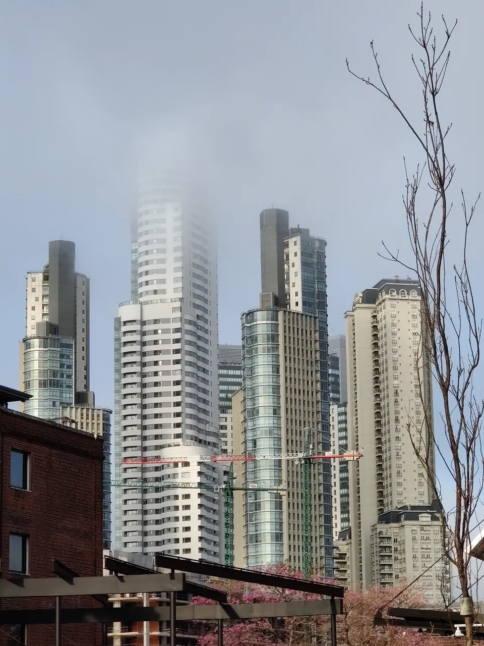 headintheclouds.jpg