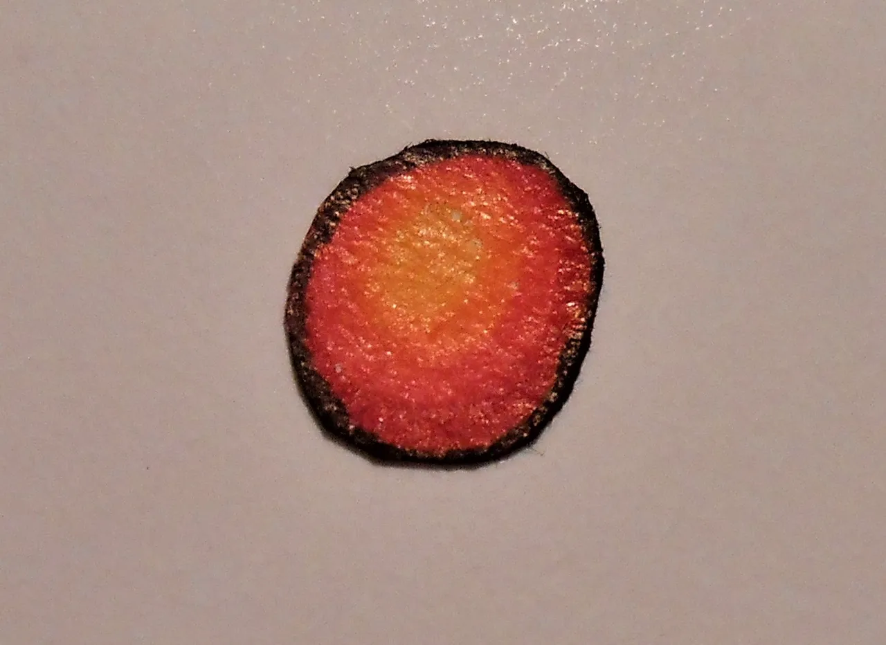 DSCN0192 2.JPG