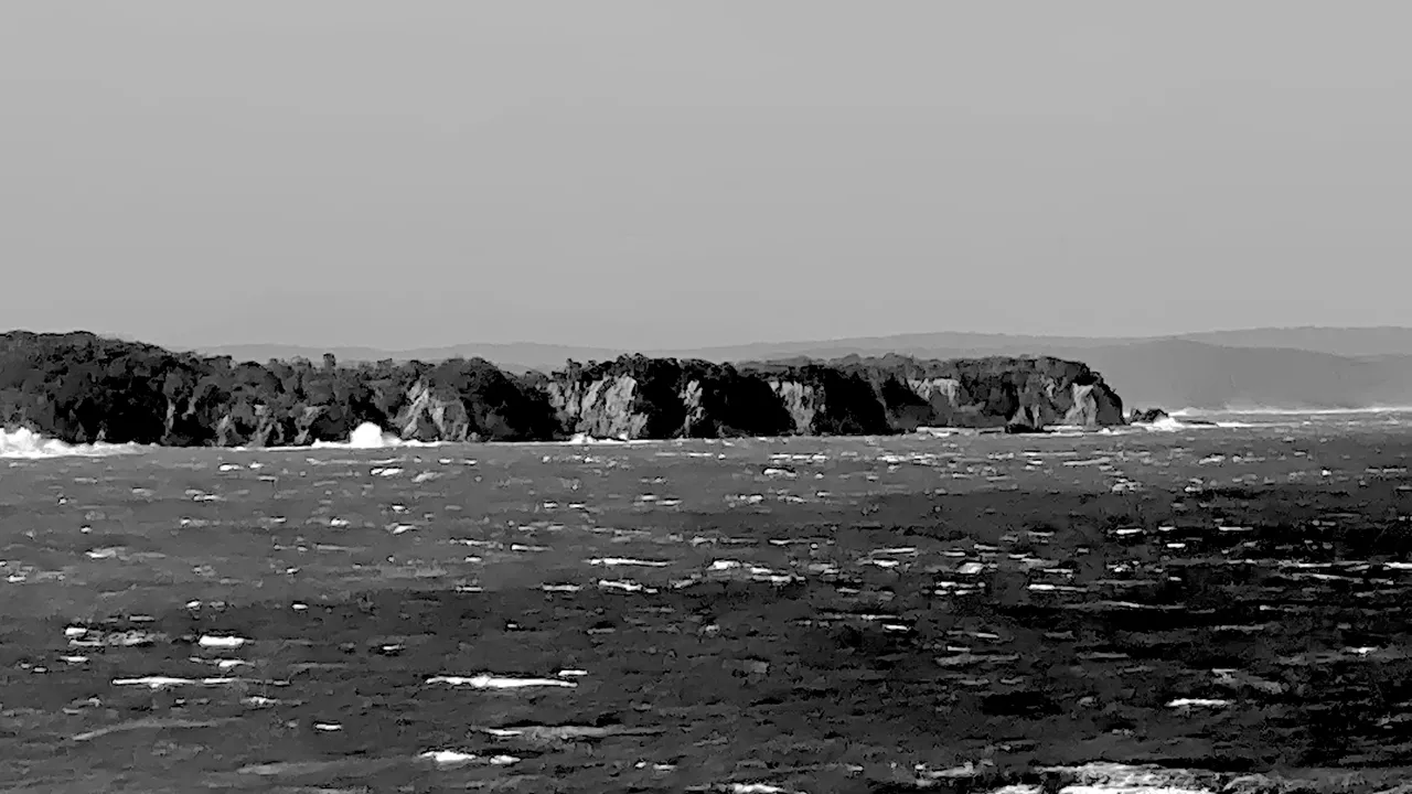 TATHRA8.png