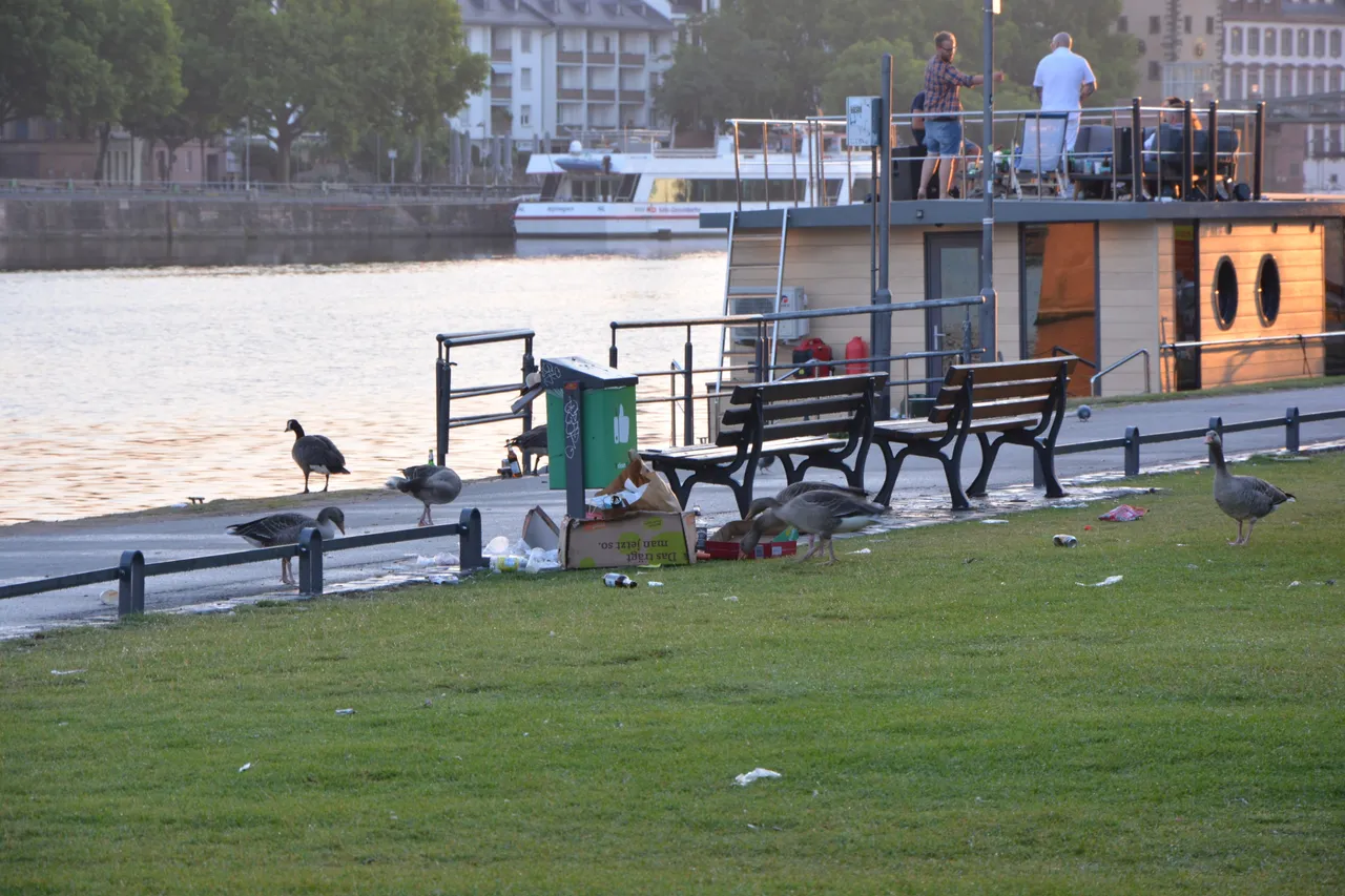 DSC_2192.JPG