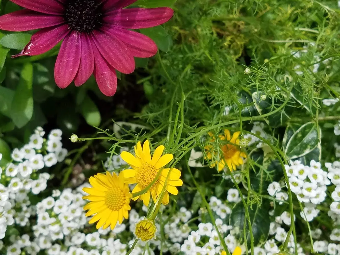 20190522_124148.jpg