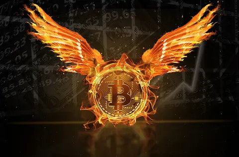 bitcoinphoenix.png