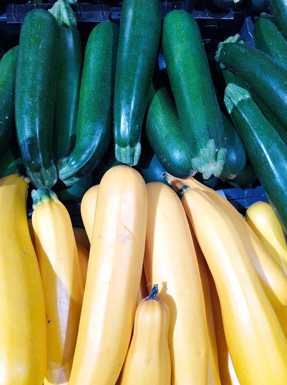 courgette.jpg