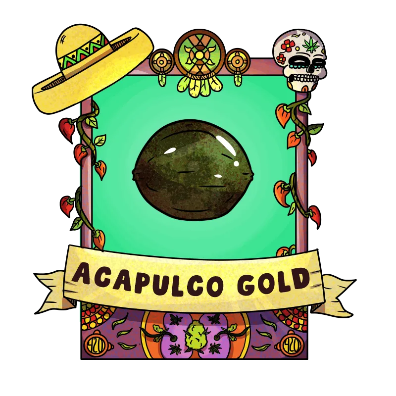 Acapulco_gold.png