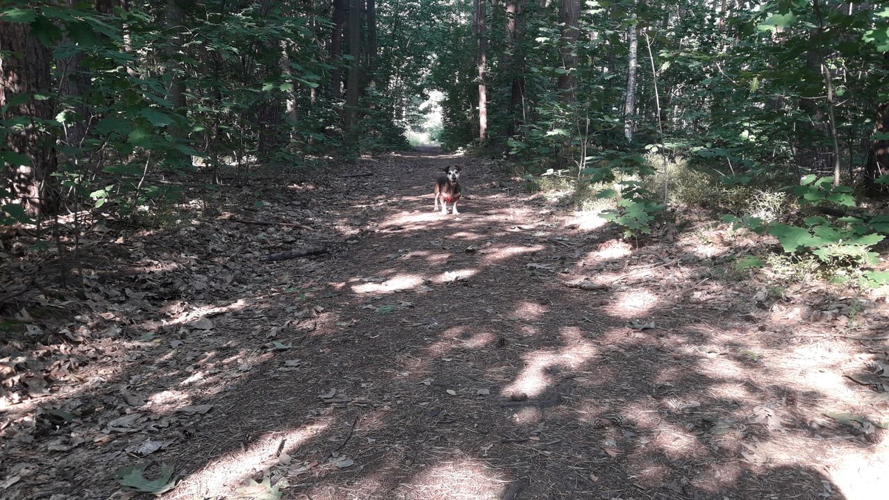 20200912_093119.jpg