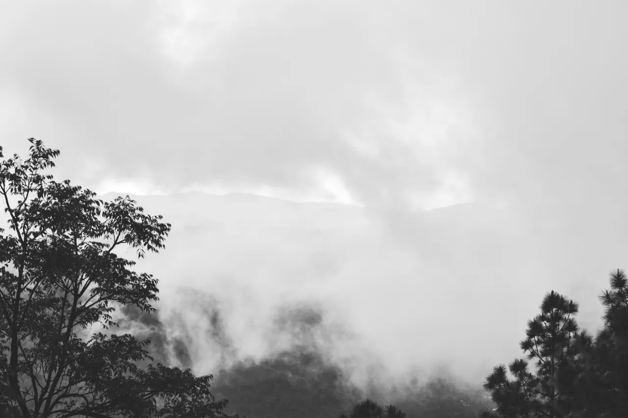 DSC_1752.jpg