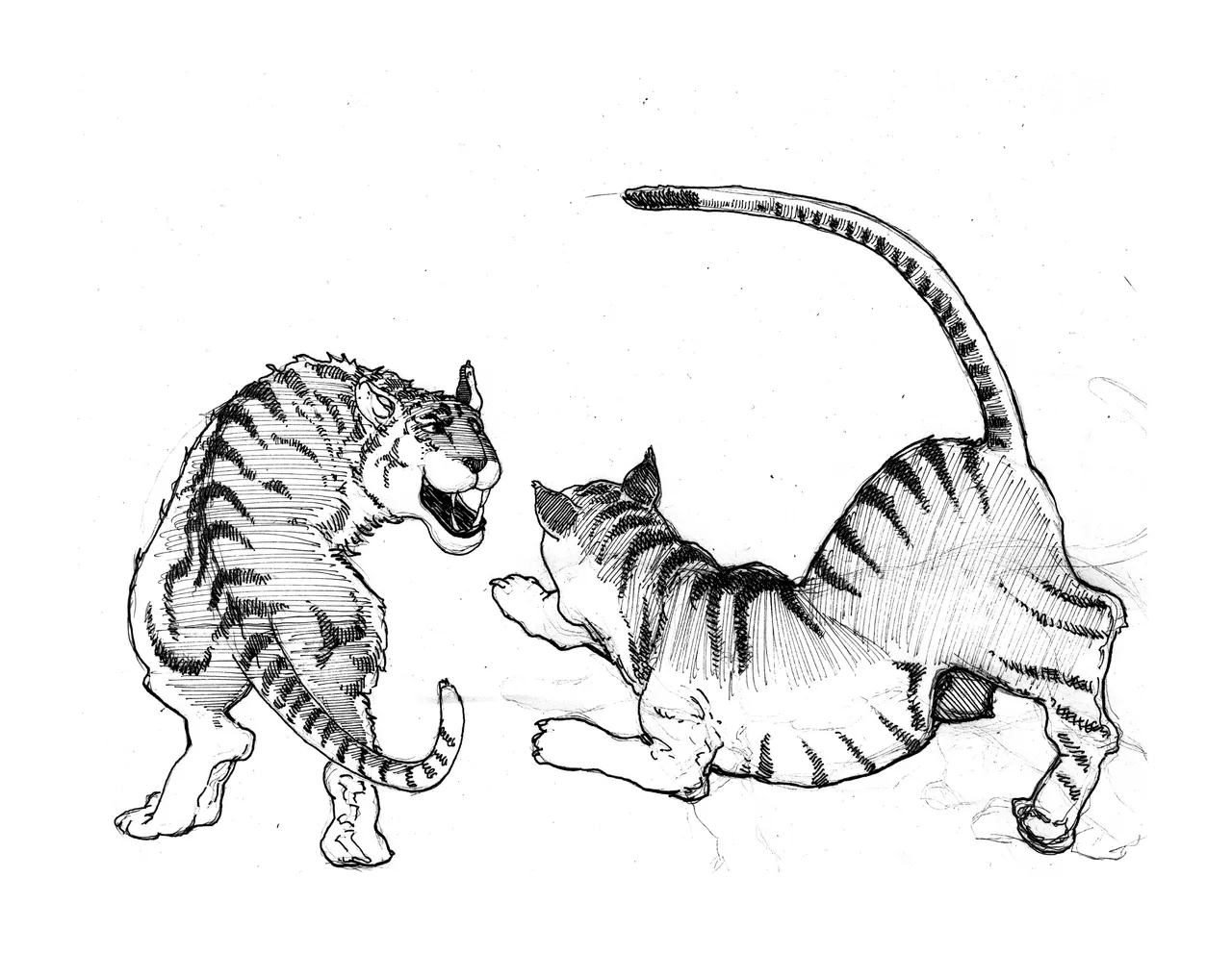 tigers 2.jpg