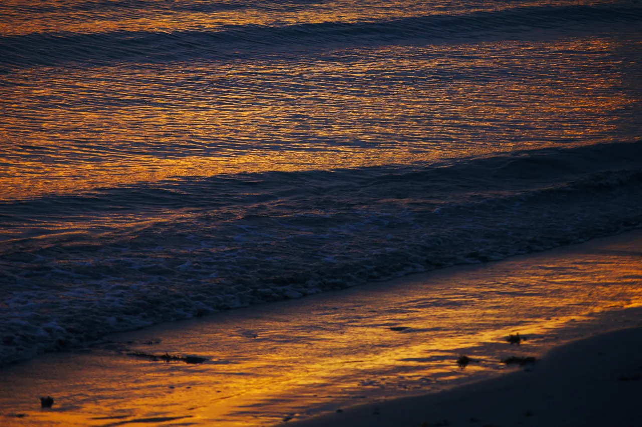 DSC_0214.JPEG